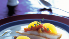 Sole à l'abricot et au citron