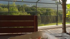 Salade d'été classique