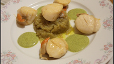 Noix de saint-jacques, compotée de fenouil, coulis de persil