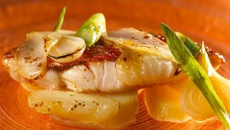 Gratin de pommes de terre, picodons de l'ardeche AOP et rougets