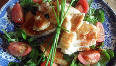 Salade gourmande aux aiguillettes de poulet et œuf poché