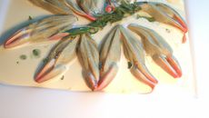 Grenouilles blanches