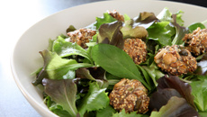 Croquettes de graines sur lit de jeunes pousses