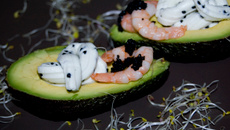 Avocats sauce fromage crème aux perles de hareng