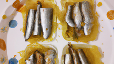 Les sardines à la fleur de Sel