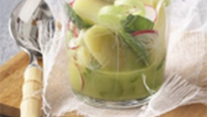 Salade acidulée de Pompadour Label Rouge