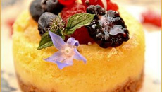 Cottage cheese-cake aux fruits rouges rapide