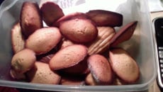Madeleines à la vanille sans levure