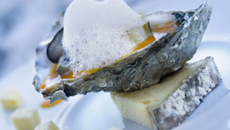 Huîtres tièdes sur coulis de potimarron à l'écume de Tomme de Savoie