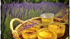 Crème Brûlée aux senteurs de Lavande des Alpes-de-Haute-Provence.