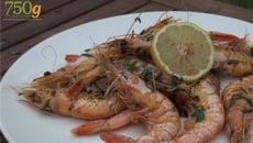 Gambas grillées à la plancha