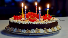 Gâteau magique au chocolat, chantilly et fruits rouges
