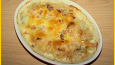 Gratin d'endives au Maroilles