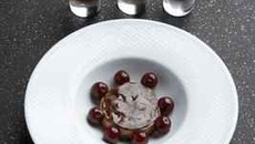 Dégustation de chocolat pour amateur de cacao