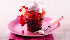 Granité de Fruits rouges façon Melba