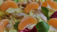 Salade de poissons fumés, cœurs de palmier et clémentines