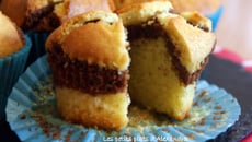 Marbré vanille et chocolat