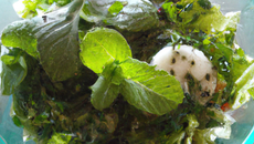 Salade fraîche à la menthe