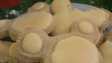 Biscuits aux amandes