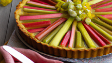 Tarte à la rhubarbe acidulée express