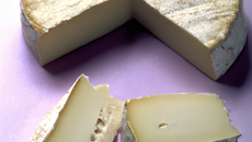 Broyé du Poitou classique