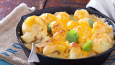 Gratin de chou-fleur au Companion