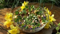 Boutd'nez de printemps