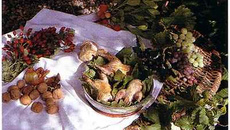 Le perdreau dans la feuille de vigne