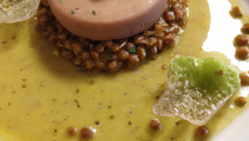 Cristal de foie gras aux lentilles vertes du Puy en Velay et à la Fourme d'Ambert