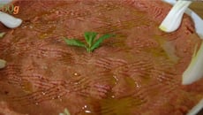 Koubé nayé ou Tartare libanais