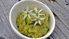 Ail des ours : gressins, guacamole et mini foccacia