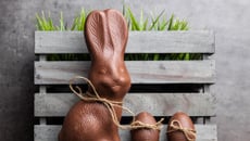 Lapin de Pâques en chocolat