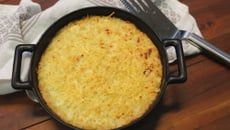 Gratin de coquillettes