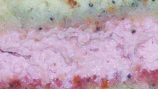 The gâteau white & pink, pâte au sésame et au pavot mi-vanille, mi-citron, fourrage aux framboises, ganache chocolat noir aromatisé au sirop de cranberry