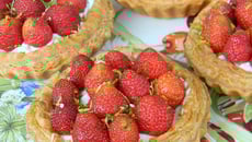 Tartelettes aux fraises et mascarpone au citron vert