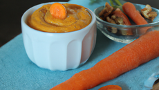 Crème de carotte