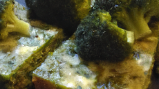 Bricks aux brocolis (végétarien)