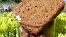 Cake au sirop de caroube et noisettes