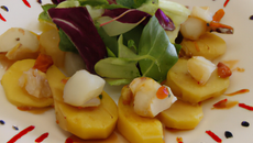 Salade de saint jacques et pommes de terre