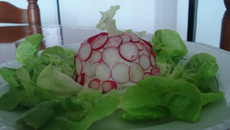 Bavarois de chevre au radis