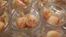 Verrines de Saint-Jacques au sésame sur effilochée d'endives