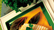 Filet de poisson spécial régime