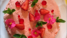 Fraisier 'Fête des mamans'