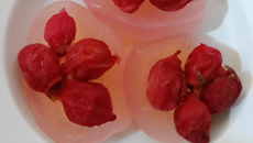 Gelée de cynorrhodon