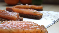 Gravlax de saumon aux agrumes