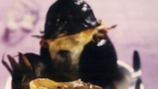 Aubergines farcies à l'oignon, gratinées au reblochon de Savoie