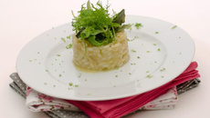 Risotto tout citron : citron confit et limoncello