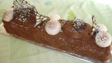 Bûche ganache chocolat noir