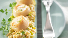 Ebly aux saint jacques et au poireau