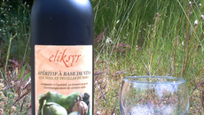 Recette du Vin de Noix artisanal Eliksyr